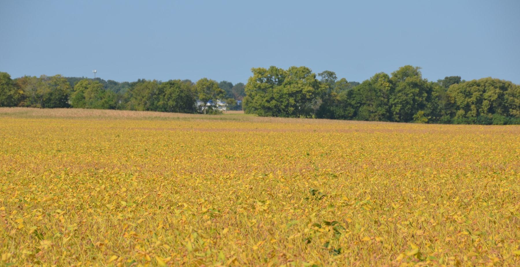 Agricultural & Natural Products